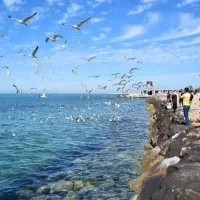 تور یک روزه ساحل گردی بازار گردی خیام خوانی بوشهر