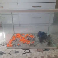 اکواریوم