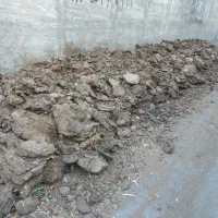 کود گوسفندی رایگان
