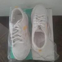 اسپورت|لوستر و چراغ آویز|تبریز, |دیوار