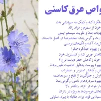 عرق کاسنی مرغوب و خالص
