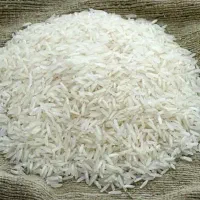برنج طارم و عنبربو شالیزارهای شمال  زیر قیمت بازار