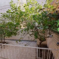 زیرزمین-همکف-دوبلکس-صدوقی-قرنی-سند6دانگ-دلباز