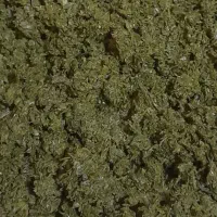 سبزی خورشتی سرخ شده خوش طعم