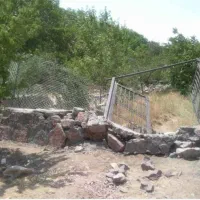 باغبان حرفه ای