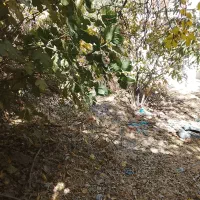 160-متر-زمین-سه-بر-دارای-امتیاز-آب