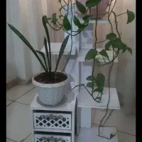 پایه قابلمه