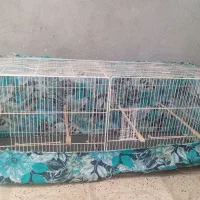 قفس جفتگاه بزرگ برای چند جفت مفت