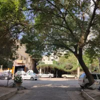 تجاری بر اصلی نادر 120 میلیارد