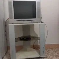 تلویزیون