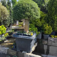 خدمات باغبانی و گلکاری گهردشت، مهر شهر، رجایی شهر