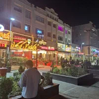 کارگر ساده خانم واقا