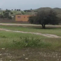 طبقه بالا تجاری ذوالفقاری