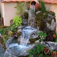 ابنما|خدمات باغبانی و درختکاری|ملارد, |دیوار