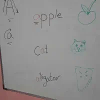 تدریس خصوصی زبان کودکان در منزل(گلسارمطهری‌منظریه)