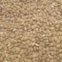 بادام پوست سنگی