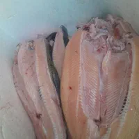 قزل آلا پاک شده درشت ۳۷۰متوسط ۲۷۰کالا برگ موجود
