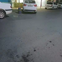 زرافشان