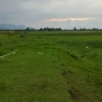 فروش-ملک-ده-هکتاری-در-سلمانشهر