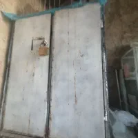 گنجه. کبوتر