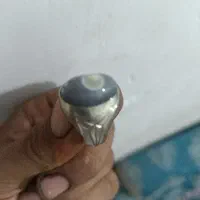 انگشتر سلیمانی تک خال