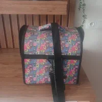 کوله عروس هلندی وسایر پرندگان