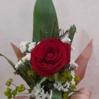 نیازمند کار تک شیفت هستم