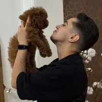 مربی سگ ، آموزش سگ