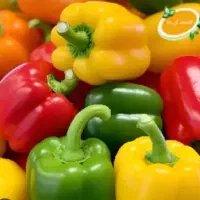 نیروی کار خانم برای کار در گلخانه
