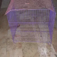 قفس پرنده