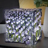 دشت لاله بینهایت مناسب ولنتاین