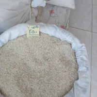 برنج‌فروشی‌آزاد