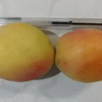 زردالو