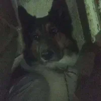 دیروز در محدوده رباط کریم گم شده