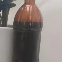 رب انار