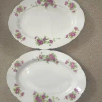 دیس گل سرخی ژاپنی
