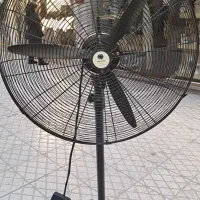 پنکه مکنزی