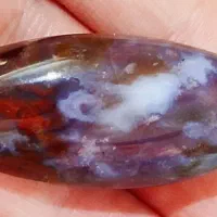 مهره شجره طبیعی