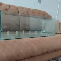 آکواریوم