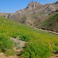 کوهنوردی