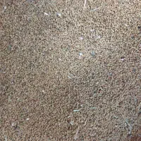 تخمه یونجه اعلا