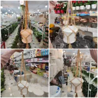 آویز گلدان نگهدارنده گلدان استند دیفن آگلونما پتوس