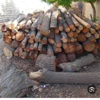 خریدو فروش چوب