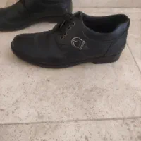 کفش مجلسی