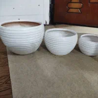 سفالی|گل و گیاه طبیعی|زاهدان, |دیوار
