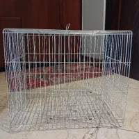 قفس پرنده