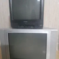 تلوزیون