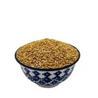 گندم