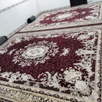 یک جفت قالی۱۲متری