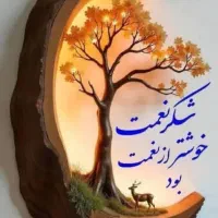 سیم کارت با پیش شماره ۷۱۱